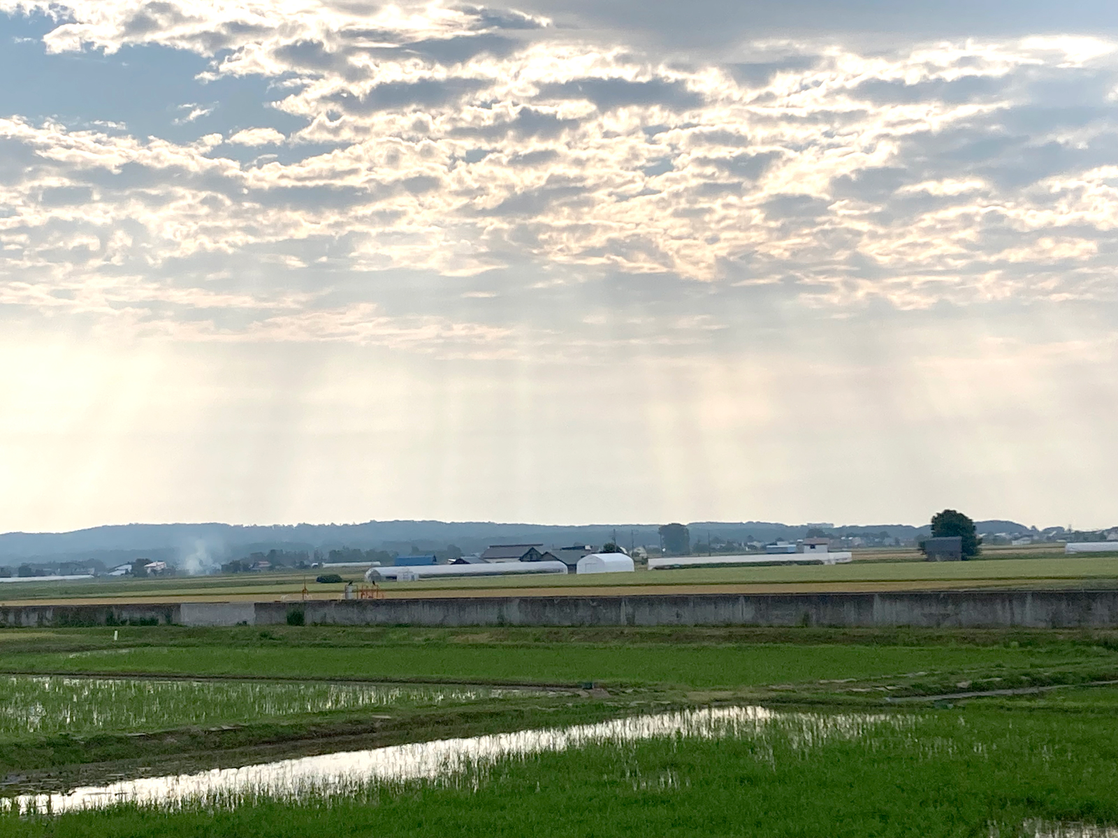 クリエイトJ株式会社